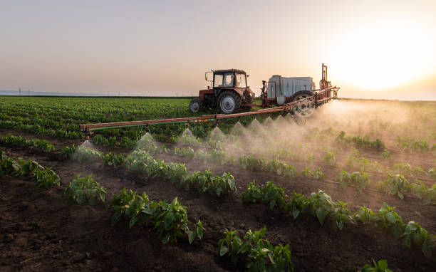 Best Mosquito Control Services  in Scandia, MN